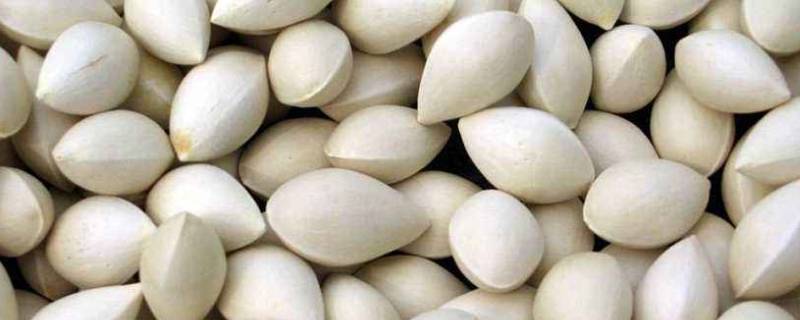 百果怎么炒-墨子百科 百果怎么炒