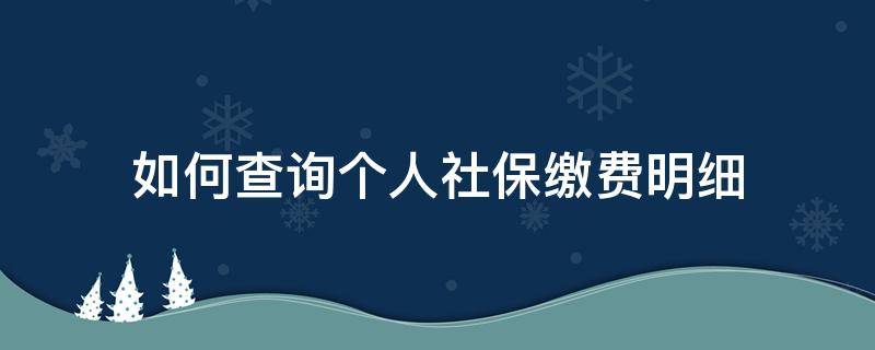 如何查询个人社保缴费明细