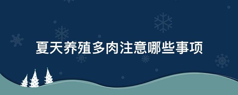 夏天养殖多肉注意哪些事项