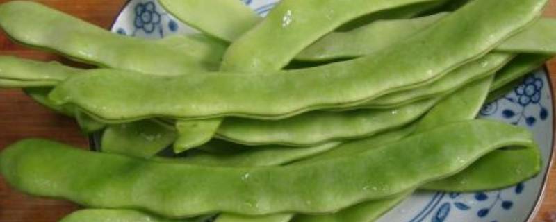 扁豆怎么炒才好吃-墨子百科 扁豆怎么炒才好吃