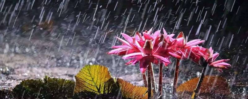 梅雨季节开窗通风的最佳时间