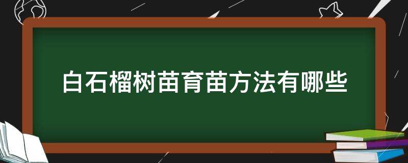 白石榴树苗育苗方法有哪些