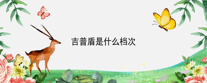 吉普盾是什么档次