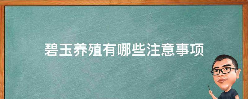 碧玉养殖有哪些注意事项