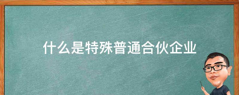 什么是特殊普通合伙企业