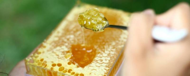 蜂蜜有泡沫好还是不好-墨子百科 蜂蜜有泡沫好还是不好
