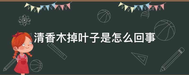 清香木掉叶子是怎么回事-墨子百科 清香木掉叶子是怎么回事
