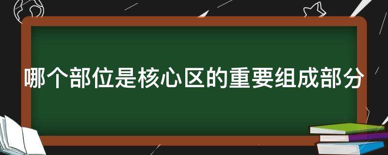 哪个部位是核心区的重要组成部分