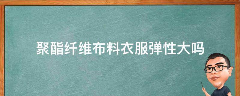 聚酯纤维布料衣服弹性大吗