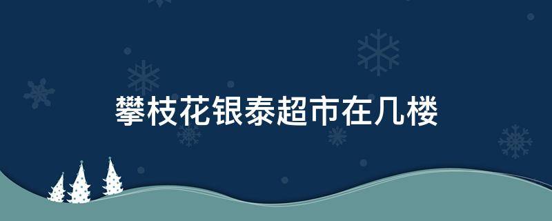 攀枝花银泰超市在几楼