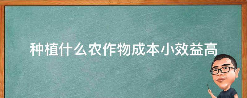 种植什么农作物成本小效益高