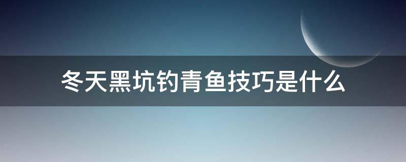 冬天黑坑钓青鱼技巧是什么