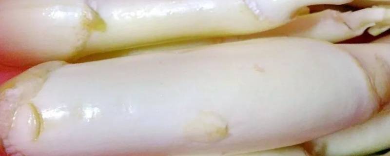 高瓜怎么炒好吃-墨子百科 高瓜怎么炒好吃