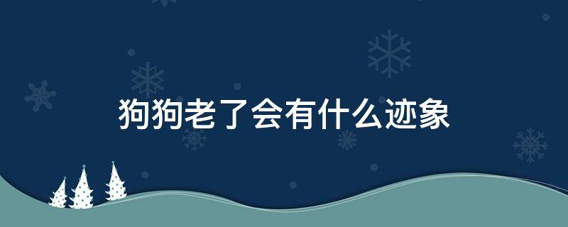 狗狗老了会有什么迹象