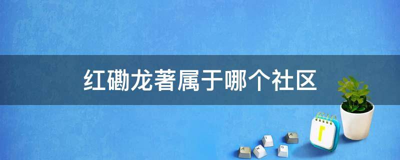 红磡龙著属于哪个社区