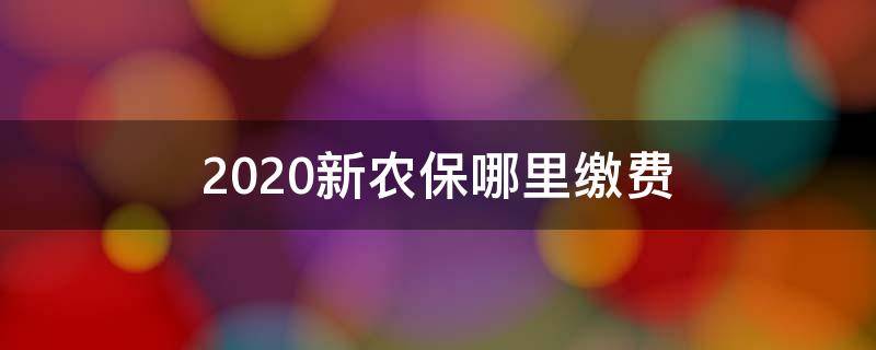 2020新农保哪里缴费