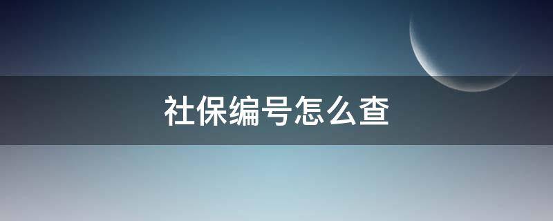 社保编号怎么查