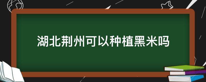 湖北荆州可以种植黑米吗