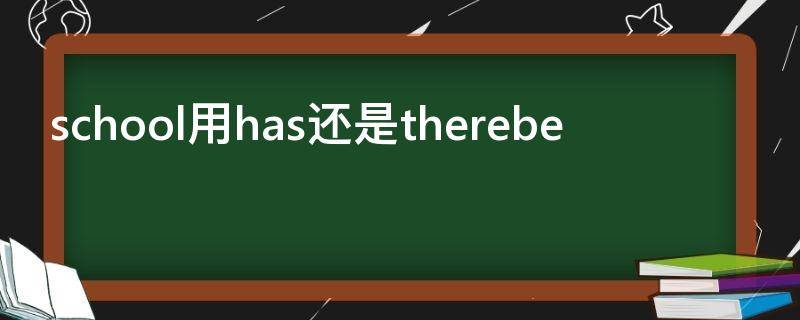 school用has还是therebe