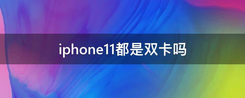 iphone11都是双卡吗