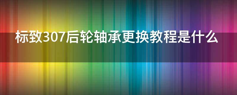 标致307后轮轴承更换教程是什么