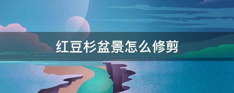 红豆杉盆景怎么修剪-墨子百科 红豆杉盆景怎么修剪