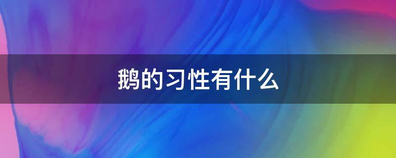 鹅的习性有什么