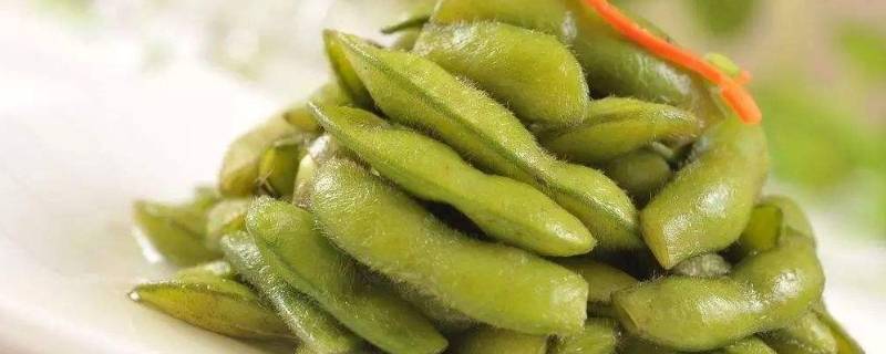 毛豆能冷冻保存吗-墨子百科 毛豆能冷冻保存吗