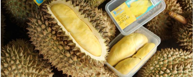 榴莲冷冻可以保存多久-墨子百科 榴莲冷冻可以保存多久