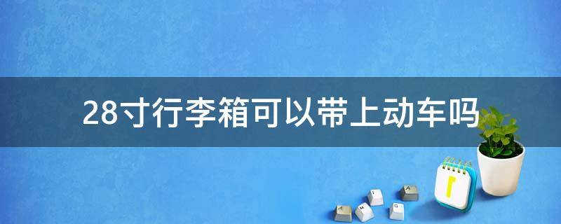 28寸行李箱可以带上动车吗