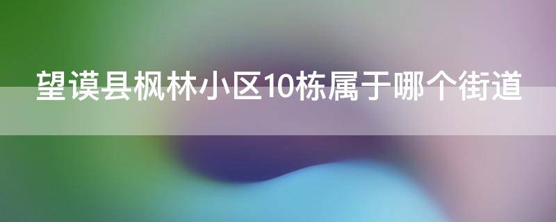 望谟县枫林小区10栋属于哪个街道