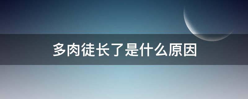 多肉徒长了是什么原因