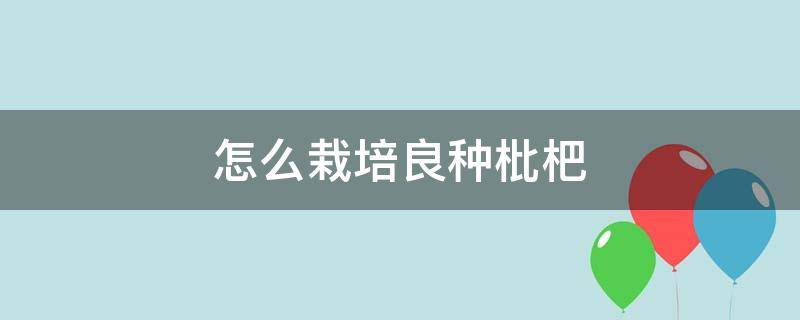 怎么栽培良种枇杷