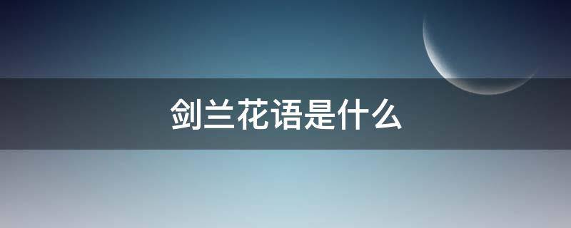 剑兰花语是什么