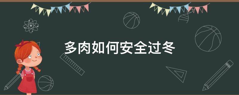 多肉如何安全过冬