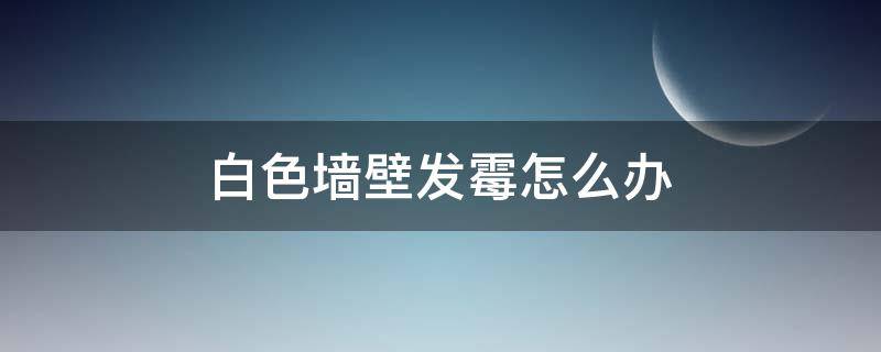 白色墙壁发霉怎么办