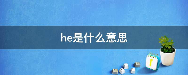 he是什么意思