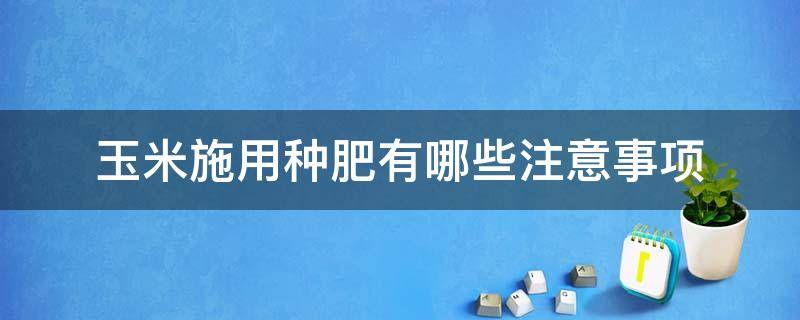 玉米施用种肥有哪些注意事项