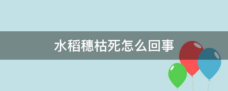 水稻穗枯死怎么回事