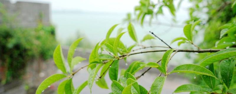 梅雨季如何防霉除湿