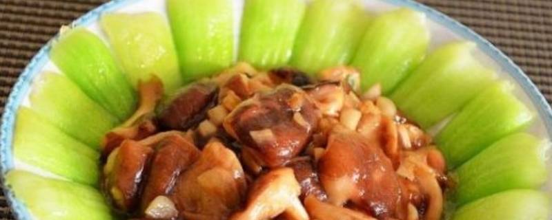 炒油菜怎么做-墨子百科 炒油菜怎么做