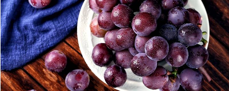 葡萄上的黑点是什么东西-墨子百科 葡萄上的黑点是什么东西