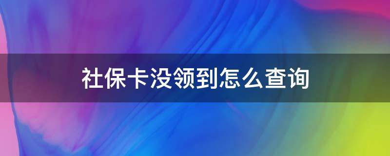 社保卡没领到怎么查询