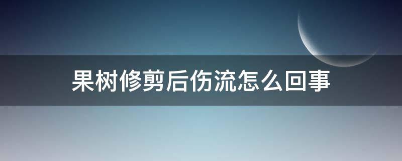 果树修剪后伤流怎么回事