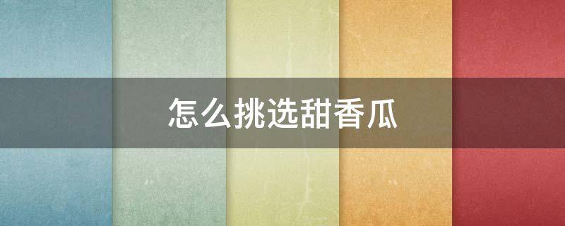 怎么挑选甜香瓜