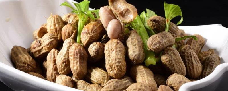 如何煮花生-墨子百科 如何煮花生