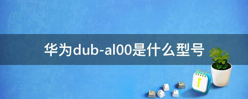 华为dub-al00是什么型号