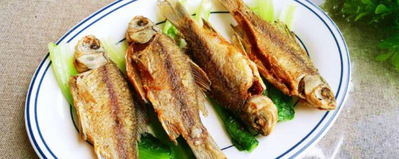 炸小鲫鱼怎么做酥脆好吃-墨子百科 炸小鲫鱼怎么做酥脆好吃