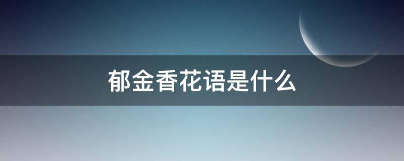 郁金香花语是什么