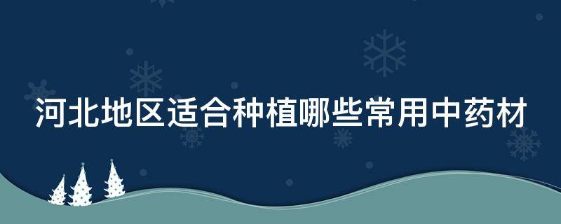 河北地区适合种植哪些常用中药材